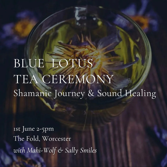 Blue Lotus Tea Ceremony