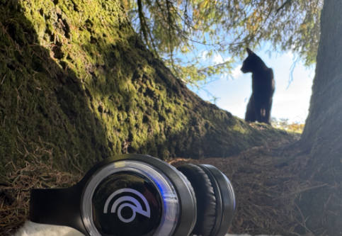 9D headphones in the forest