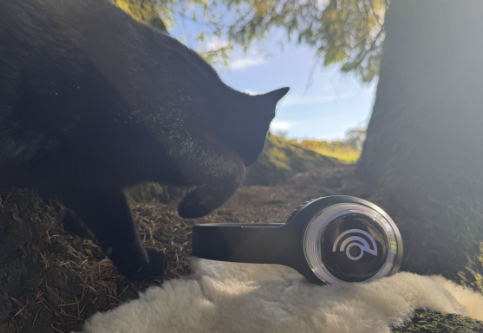 Even the wildlife gets curious about the headphones
